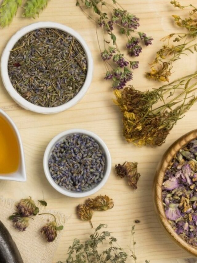 7 Herbs to Boost Your Weight Loss Journey