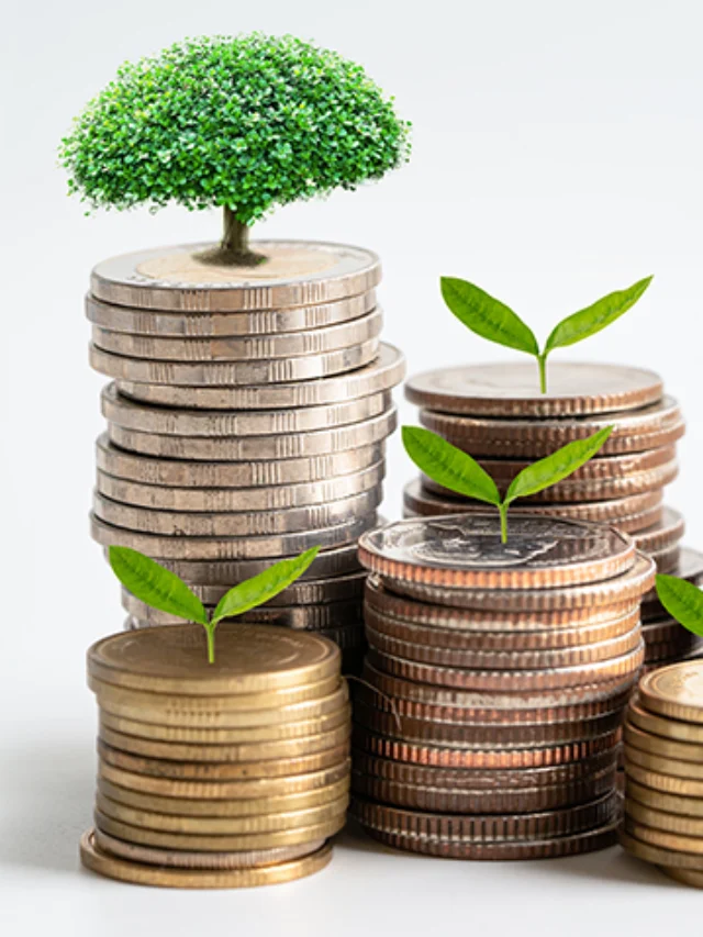 Mutual Fund NAV: 7 Things New Investors Should Know